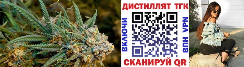 Дистиллят ТГК концентрат  где найти   Свободный 