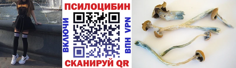 Псилоцибиновые грибы прущие грибы  даркнет сайт  Свободный 